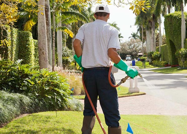 About Bettendorf IA Pest Control